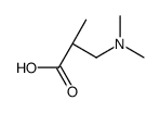 (2S)-3-(dimethylamino)-2-methylpropanoic acid Structure