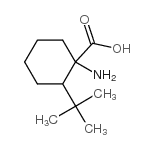 1-氨基-2-叔丁基环己烷羧酸结构式