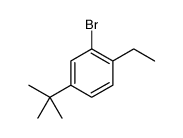 2-bromo-4-tert-butyl-1-ethylbenzene Structure