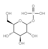 [(2R,3R,4S,5S,6R)-3,4,5-trihydroxy-6-(hydroxymethyl)oxan-2-yl] dihydrogen phosphate Structure