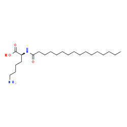 N2-(1-oxohexadecyl)-L-lysine Structure