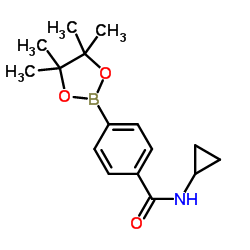 N-(环丙基)-4-(4,4,5,5-四甲基-1,3,2-恶硼-2基)苯甲酰胺结构式