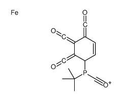 tert-butyl-(oxomethylidene)-[4,5,6-tris(oxomethylidene)cyclohex-2-en-1-yl]phosphanium,iron结构式