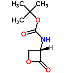 Boc-L-Serine-beta-Lactone Structure