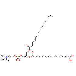 1-肉豆蔻酰基-2-(14-羧基肉豆蔻酰基)-sn-甘油-3-磷酸胆碱结构式