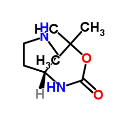 (R)-3-叔丁氧羰基氨基吡咯烷结构式