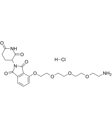 Thalidomide-PEG4-NH2 hydrochloride结构式