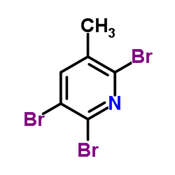 2,5,6-三溴-3-甲基吡啶图片