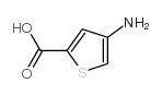 4-氨基噻吩-2-羧酸结构式