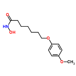 N-Hydroxy-7-(4-methoxyphenoxy)heptanamide结构式