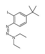N-[(4-tert-butyl-2-iodophenyl)diazenyl]-N-ethylethanamine结构式