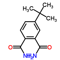 4-tert-butylbenzene-1,2-dicarboxamide结构式