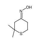 N-(2,2-dimethylthian-4-ylidene)hydroxylamine结构式