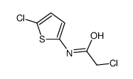 2-chloro-N-(5-chlorothiophen-2-yl)acetamide结构式