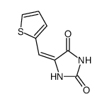 5-thiophen-2-ylmethylene-imidazolidine-2,4-dione Structure