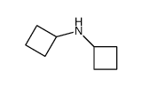 dicyclobutylamine Structure