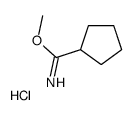 methyl cyclopentanecarboximidate,hydrochloride Structure