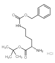 (S)-2-氨基-5-(((苄氧基)羰基)氨基)戊酸叔丁酯盐酸盐结构式