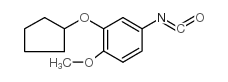 3-(环戊基氧基)-4-甲氧基异氰酸苯酯结构式