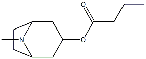3-Butyryloxytropane Structure