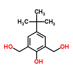 2,6-bis(hydroxymethyl)-4-tert-butylphenol结构式