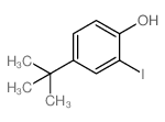 4-(叔丁基)-2-碘苯酚结构式