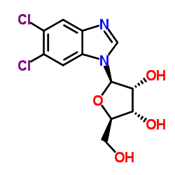 二氯苯并咪唑呋喃型核糖苷结构式