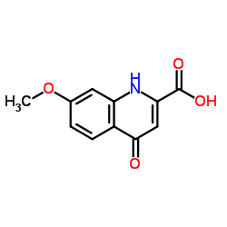 7-甲氧基-4-氧代-1,4-二氢喹啉-2-羧酸结构式