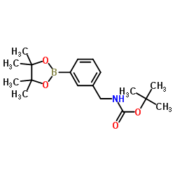 3-(4,4,5,5-四甲基-1,3,2-二氧硼杂环戊烷-2-基)苄基氨基甲酸叔丁酯图片