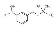 3-叔丁氧基甲基苯硼酸图片