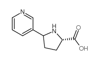 去甲烟碱-2-羧酸结构式