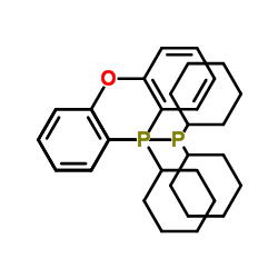 (Oxydi-2,1-phenylene)bis(dicyclohexylphosphine) Structure