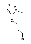3-(3-bromopropoxy)-4-methylthiophene结构式