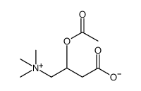O-acetylcarnitine Structure