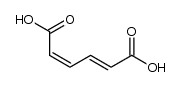 (2E,4Z)-2,4-hexadienedioic acid Structure