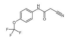 2-cyano-N-[4-(trifluoromethoxy)phenyl]acetamide Structure