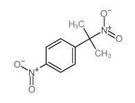 Benzene,1-(1-methyl-1-nitroethyl)-4-nitro-结构式