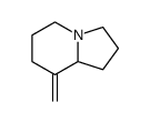 8-Methylene-octahydro-indolizine Structure