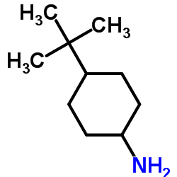 4-t-butylcyclohexylamine structure