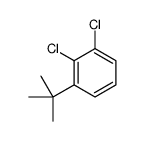 1,2-二氯(1,1-二甲基乙基)苯结构式