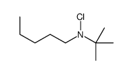N-tert-butyl-N-chloropentan-1-amine Structure