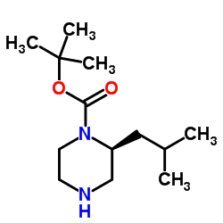 (S)-1-Boc-2-异丁基哌嗪图片