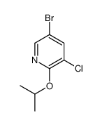 5-BROMO-3-CHLORO-2-ISOPROPOXYPYRIDINE picture