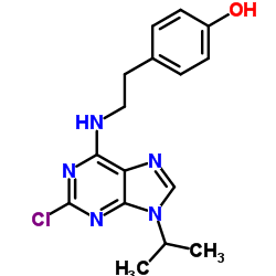 4-(2-((2-chloro-9-isopropyl-9H-purin-6-yl)amino)ethyl)phenol picture