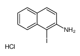 1-iodonaphthalen-2-amine,hydrochloride Structure