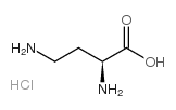 L-2,4-二氨基丁酸 单盐酸盐图片