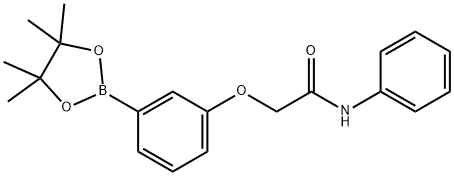 N-苯基-2-(3-(4,4,5,5-四甲基-1,3,2-二氧硼杂环戊烷-2-基)苯氧基)乙酰胺结构式