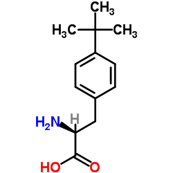 (R)-2-氨基-3-(4-(叔丁基)苯基)丙酸结构式
