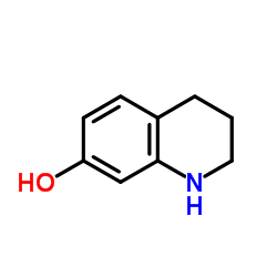 7-Hydroxy-1,2,3,4-tetrahydroquinoline Structure