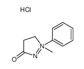1-methyl-1-phenylpyrazolidin-1-ium-3-one,chloride Structure
